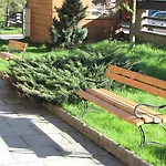 Dafne Отель типа 